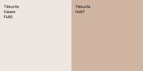 F480 Камея vs H467 null