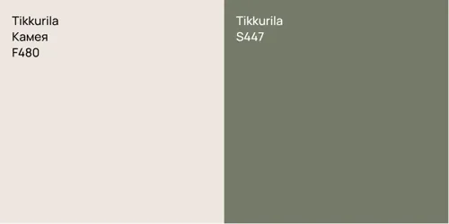 F480 Камея vs S447 null
