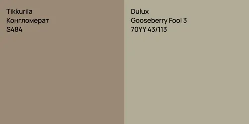 S484 Конгломерат vs 70YY 43/113 Gooseberry Fool 3