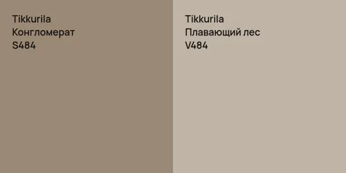 S484 Конгломерат vs V484 Плавающий лес