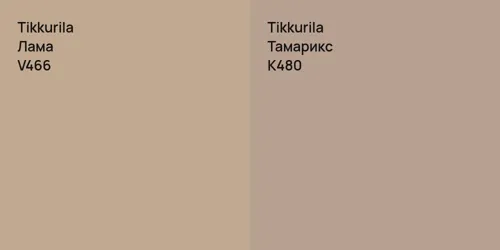 V466 Лама vs K480 Тамарикс