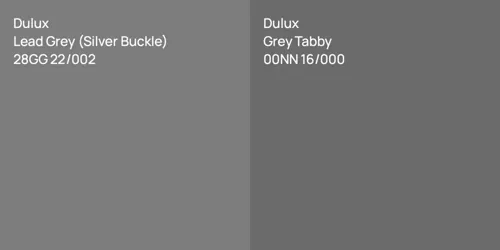 28GG 22/002 Lead Grey (Silver Buckle) vs 00NN 16/000 Grey Tabby