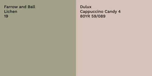 19 Lichen vs 80YR 59/089 Cappuccino Candy 4