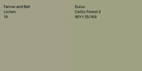 19 Lichen vs 90YY 35/169 Celtic Forest 2