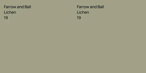 19 Lichen vs 19 Lichen