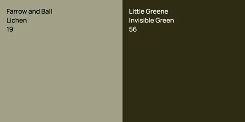 19 Lichen vs 56 Invisible Green