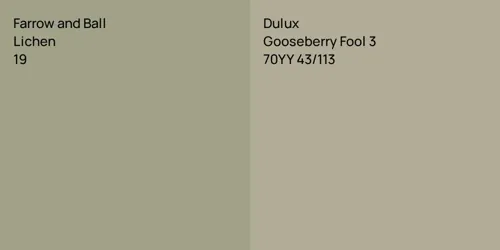 19 Lichen vs 70YY 43/113 Gooseberry Fool 3