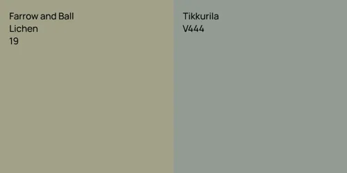 19 Lichen vs V444 