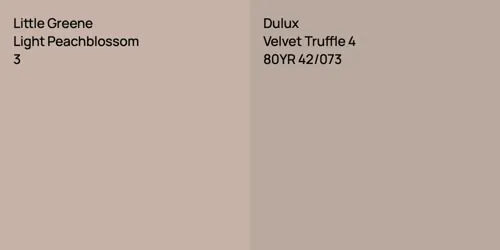 3 Light Peachblossom vs 80YR 42/073 Velvet Truffle 4