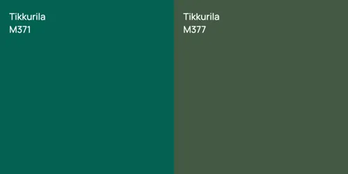 M371 null vs M377 