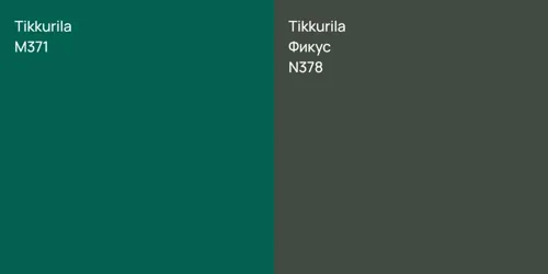 M371 null vs N378 Фикус