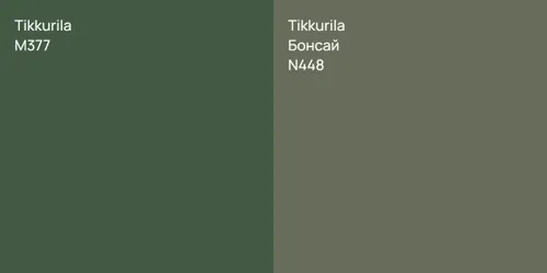 M377  vs N448 Бонсай