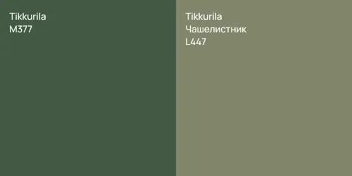 M377  vs L447 Чашелистник