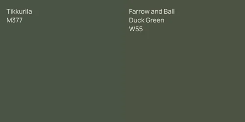M377  vs W55 Duck Green