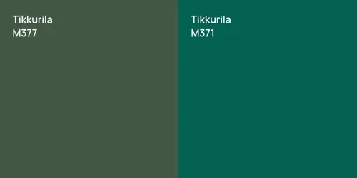 M377  vs M371 null