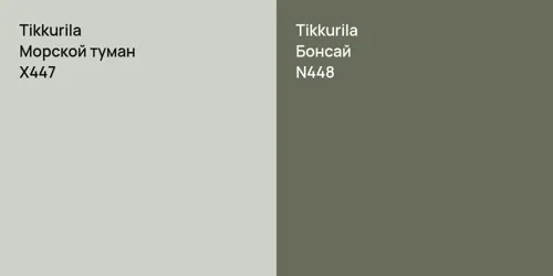 X447 Морской туман vs N448 Бонсай