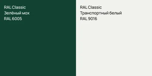 RAL 6005 Зелёный мох vs RAL 9016 Транспортный белый