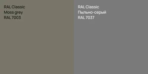 RAL 7003  Moss grey vs RAL 7037 Пыльно-серый