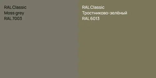 RAL 7003 Moss grey vs RAL 6013 Тростниково-зелёный
