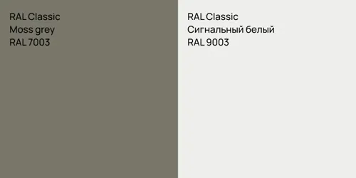 RAL 7003 Moss grey vs RAL 9003 Сигнальный белый