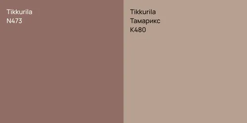 N473 vs K480 Тамарикс