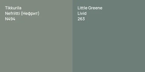 N494 Nefriitti (Нефрит) vs 263 Livid