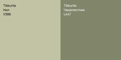 V386 Нил vs L447 Чашелистник