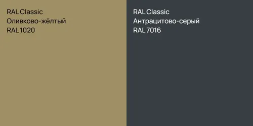 RAL 1020 Оливково-жёлтый vs RAL 7016 Антрацитово-серый