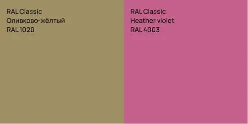 RAL 1020 Оливково-жёлтый vs RAL 4003 Heather violet