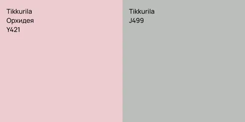 Y421 Орхидея vs J499 