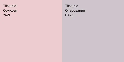 Y421 Орхидея vs H426 Очарование