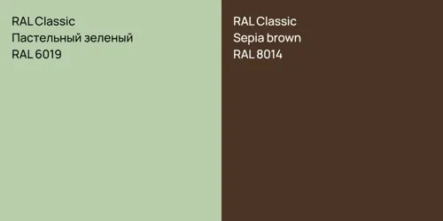 RAL 6019 Пастельный зеленый vs RAL 8014  Sepia brown