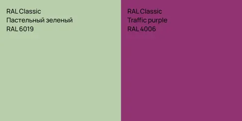RAL 6019 Пастельный зеленый vs RAL 4006  Traffic purple