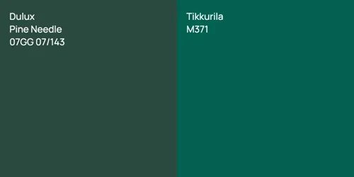 07GG 07/143 Pine Needle vs M371 null