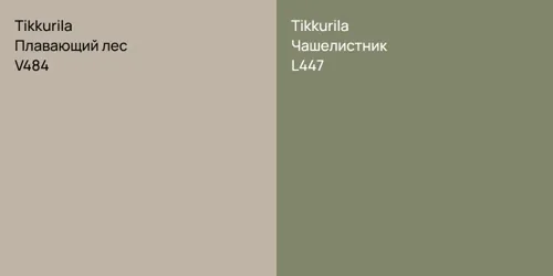 V484 Плавающий лес vs L447 Чашелистник