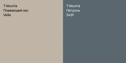 V484 Плавающий лес vs S491 Петроль
