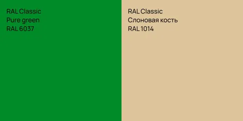 RAL 6037  Pure green vs RAL 1014 Слоновая кость
