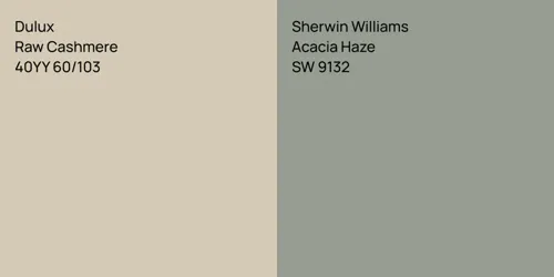 40YY 60/103 Raw Cashmere vs SW 9132 Acacia Haze