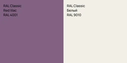 RAL 4001  Red lilac vs RAL 9010 Белый