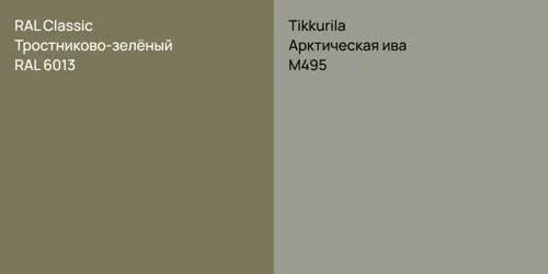 RAL 6013 Тростниково-зелёный vs M495 Арктическая ива