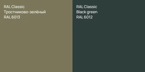 RAL 6013 Тростниково-зелёный vs RAL 6012  Black green