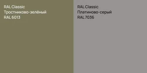 RAL 6013 Тростниково-зелёный vs RAL 7036 Платиново-серый