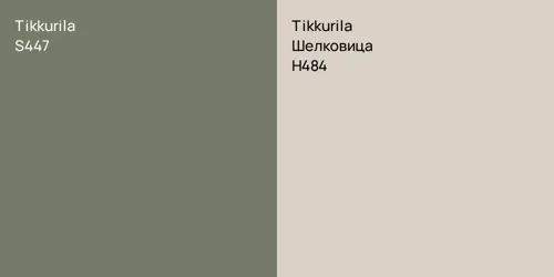 S447 null vs H484 Шелковица