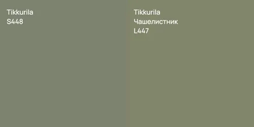 S448 null vs L447 Чашелистник