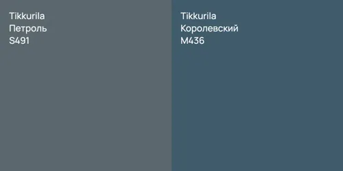 S491 Петроль vs M436 Королевский