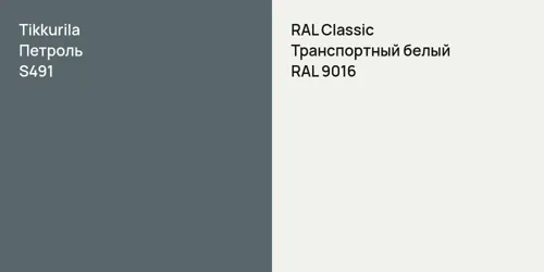 S491 Петроль vs RAL 9016 Транспортный белый