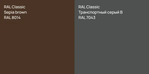 RAL 8014 Sepia brown vs RAL 7043 Транспортный серый B