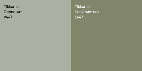 V447 Серпенит vs L447 Чашелистник