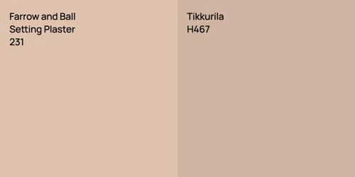 231 Setting Plaster vs H467 null