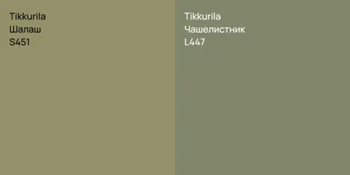 S451 Шалаш vs L447 Чашелистник